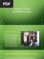 Produccion Agropecuaria