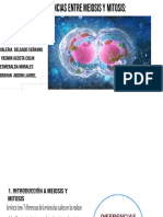 Semejanzas y Diferencias Entre Meiosis y Mitosis Un Analisis Profesional