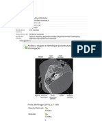 Questionario Ii - Radiologia Integrada