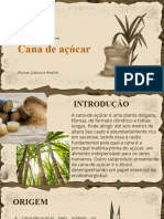 Economia Rural - Cana de Açúcar