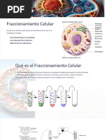 Metodos Histologicos y Fraccionamiento Celular