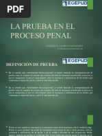 La Prueba y Juicio Oral - Ecm