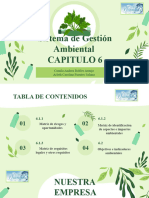 Presentación Ambiental