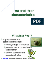 Pest and Their Characteristics