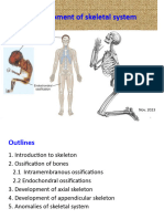 Dev Skeletal SystemR2023