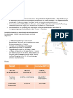 Clase 2 - Musculos de Miembro Superior