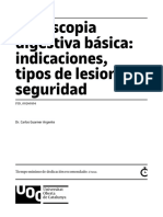 Endoscopia Digestiva Básica: Indicaciones, Tipos de Lesiones, Seguridad