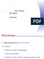 Cardiovascular System Icd