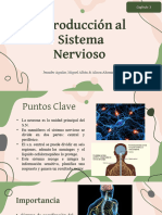 Introducción Al Sistema Nervioso