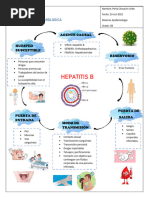 Cadena Epidemiologica Hepatitis B