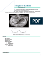 Clase N°13 Traumatología