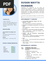 CV 20susan 20mayta 20 - 20adm 20y 20finanzas