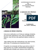 A Magia Do Reino Vegetal III