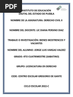 Derecho Civil Ii Bienes Vacantes y Mostrencos Jorge Luis Vargas Valdez