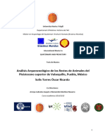 Analisis Arqueozoologico de Los Restos D