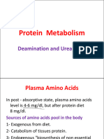 Bio - Urea Cycle