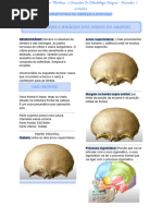 Anatomia Dos Ossos Do Cranio