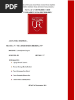 Informe 5 Metabolismo de Carbohidratos