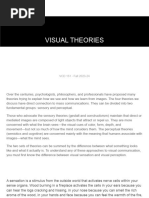 Visual Theories