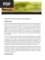 Proyecto Huerta