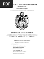 Análisis de Las Fuerzas Que Actúan Sobre Las Estructuras Civiles - Puentes