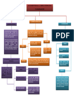 Mapa Conceptual