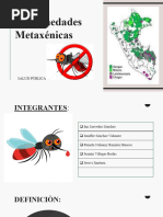 Enfermedades Metaxenicas (Grupo 3)