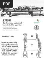 Spine Lecture