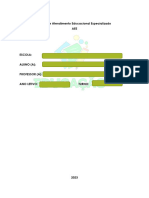 Diário de Atendimento Educacional Especializado Ok