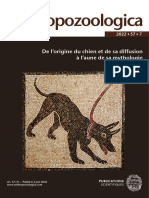 De L'origine Du Chien Et de Sa Diffusion