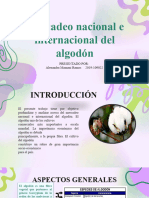 Mercadeo de Algodon