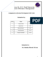 System Development Life Cycle