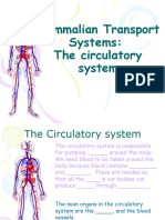 GCSE Mammalian Transport System - Vessels