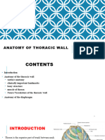 Thoracic Anatomy