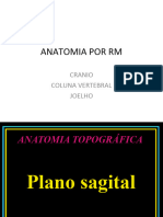 Anatomia Por RM