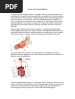 Informe Sobre El Aparato Digestivo