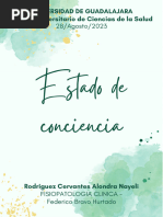 Estado de Conciencia