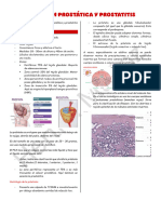 Infección Prostática y Prostatitis