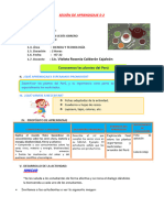 D5 A2 SESION 6TO Conocemos Las Plantas Del Perú