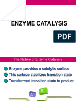 Enzyme Catalysis