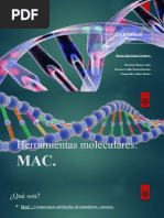 Herramientas Moleculares MAC