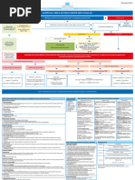 Flujog-10 Sospecha Cliynica de Endocarditis Infecciosa Ei