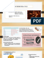 Escherichia Coli