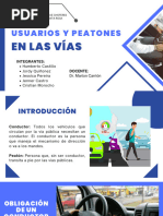 Usuarios y Peatones en Las Vías - Grupo 1