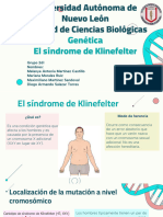 Sindrome de Klinefelter-261