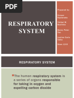 Respiratory System - Bio 2 A