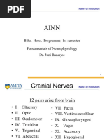 Cranial Nerves 2016