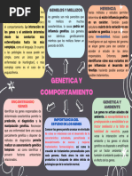 Mapa Mental GENETICA Y COMPORTAMIENTO