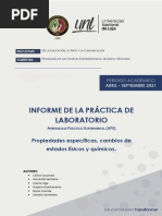 Informe de La Práctica de Laboratorio Nro 2 de Química Inorgánica 1