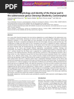 Journal of Anatomy - 2019 - Echeverr A